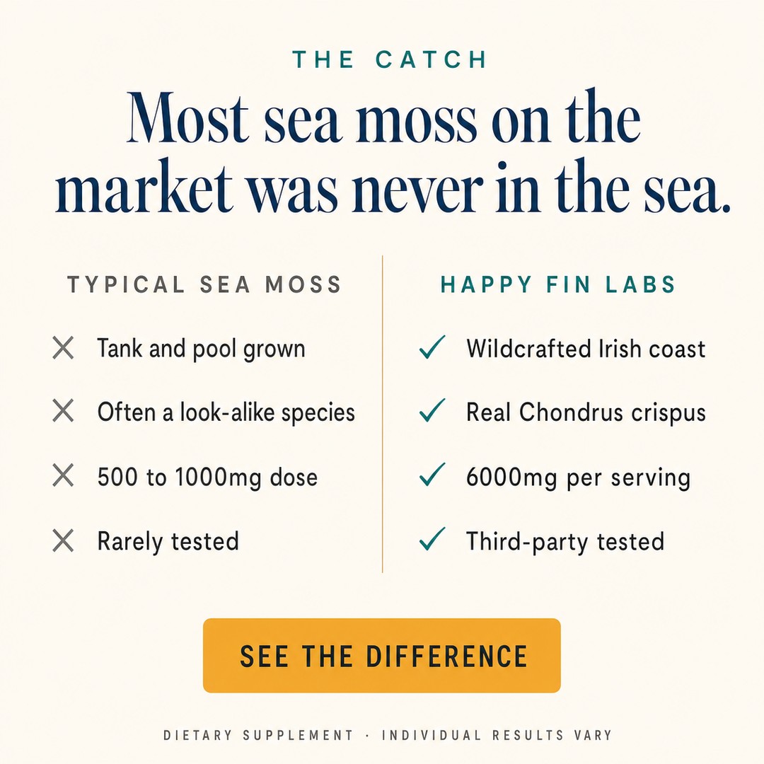 Never in the sea 1:1