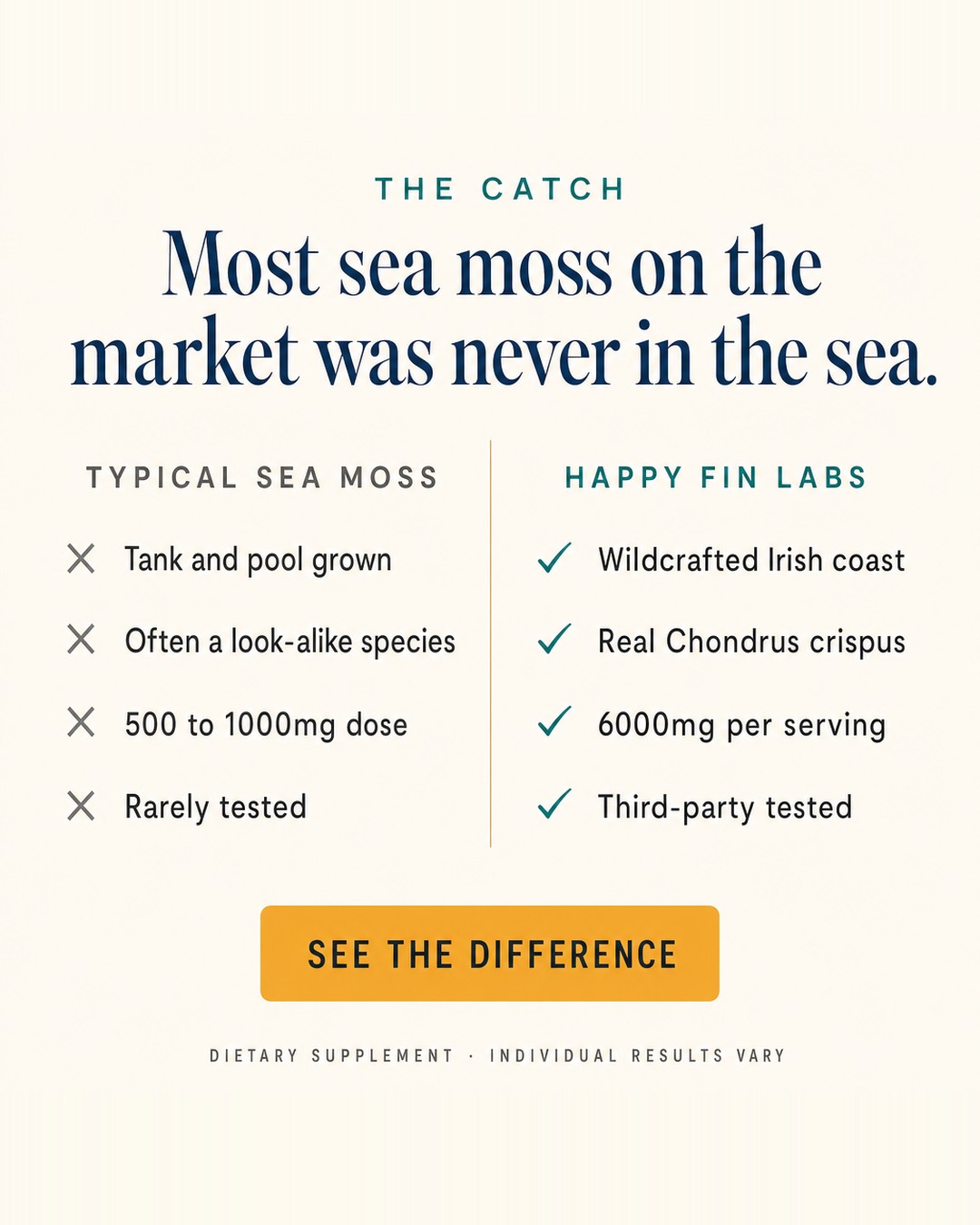Never in the sea 4:5