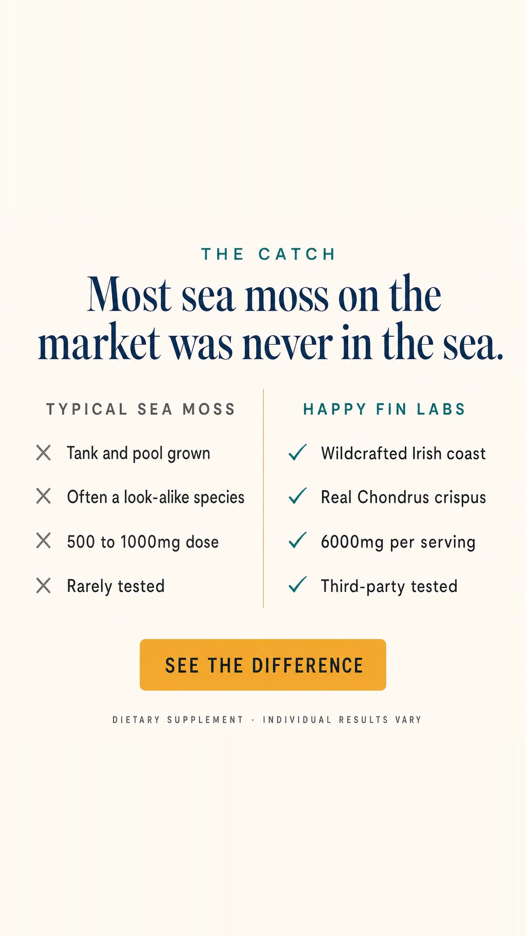 Never in the sea 9:16