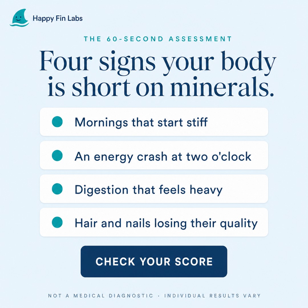 Four signs 1:1